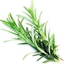 Votre primeur propose, Romarin 15g