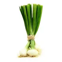 Votre producteur local propose, Oignon botte local