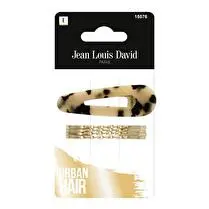 Jean-Louis David, Ornement mode