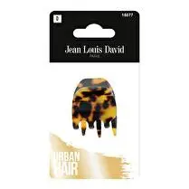 Jean-Louis David, Ornement mode