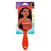 Disney, Princesses brosse Vaiana