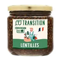 Transition, Lentilles