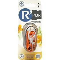 GAMME R', Désodorisant basket esprit caraibe 34g