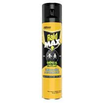Raid, Insecticides Guêspes frelons