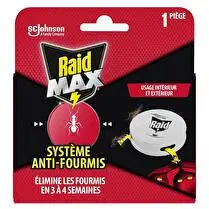 Raid, Piège fourmis