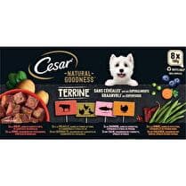 CÉSAR Natural goodness terrines en gelée pour chien