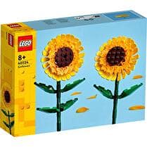 LEGO® Lego Iconic Les Tournesols
