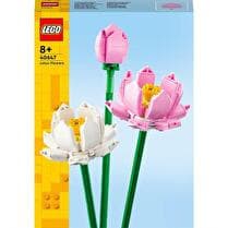 LEGO® Lego Iconic  Les fleurs de Lotus