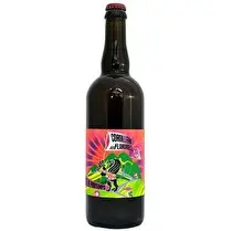 Brasserie Katsbier, Bière Cordillere des Flandres de Printemps 6° 75cl