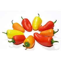 Votre primeur propose, Mini poivron vrac