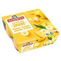 ANDROS Dessert la vie en jaune (pomme, banane, ananas, citron)