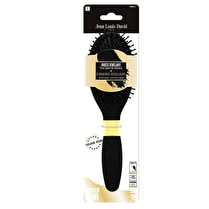 Jean-Louis David, Brosse pneumatique nylon