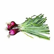 Votre producteur local propose, Oignon rouge botte bio