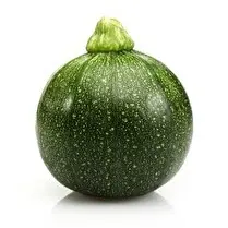 Votre primeur propose, Courgette ronde vrac