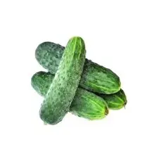 Votre primeur propose, Cornichon