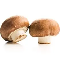 Votre primeur propose, Champignon géant brun vrac