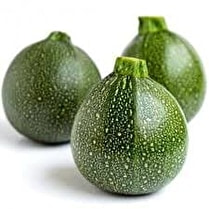 Votre producteur local propose, Courgette verte ronde