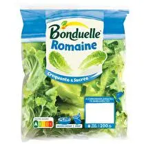 Bonduelle, Salade romaine