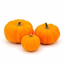 Votre producteur local propose, Courge jack be little local