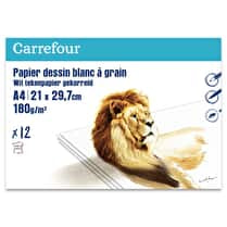 Carrefour, Pochette dessin A4 à grain 210x297 12 feuilles 180g