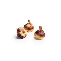 Votre producteur local propose, Ail blanc fumé vrac local