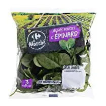 Carrefour, Jeunes pousses épinard sachet