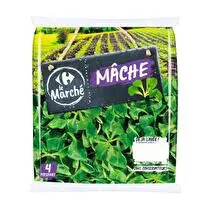 Votre primeur propose, Mâche
