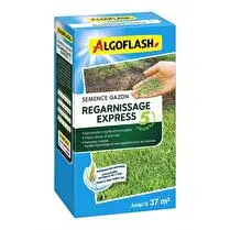 Algoflash, Semence gazon regarnissage express 5jrs 800g