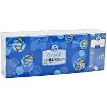 Carrefour, Mouchoirs Confort 4 Epaisseurs Ultra Resistant FSC