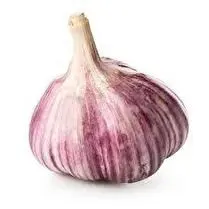Votre producteur local propose, Ail violet