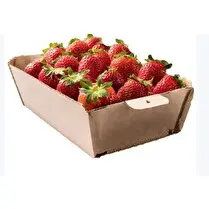 Votre producteur local propose, Fraise locale