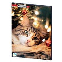 Riegelein, Calendrier de l'avent chat panachés