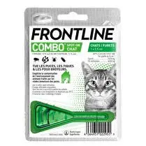 Riga, Frontline combo chat