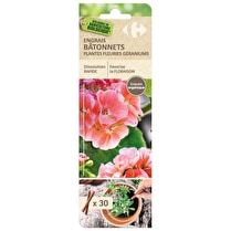 Carrefour, Engrais batônnets plantes fleuries géraniums x30