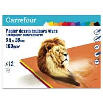 Carrefour, Pochette dessin couleurs vives 24x32 12 feuilles 160 grammes