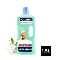Mr Propre, Nettoyant  Fraîcheur
