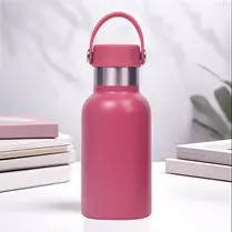 Carrefour, Bouteille isotherme 0,25l