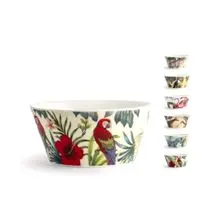 BARBIER, Bol NBC Savana diamètre 13,7cm assortis