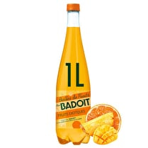BADOIT BULLES DE FRUITS, Bulles de fruits  Fruit exotique