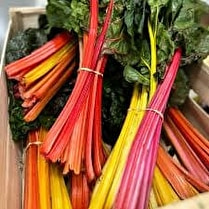 Votre primeur propose, Cotes de blettes colorées