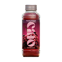 Benger ventures, Kombucha ciao fruits rouges