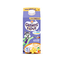 Yoplait, Grands Filous saveur vanille brique