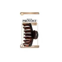 Franck Provost, Pince