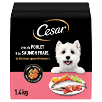 César, Cesar croquettes poulet, saumon, riz & légumes