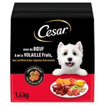 César, Cesar croquettes boeuf, volaille, lentilles & légumes