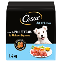 César, Cesar croquettes junior poulet