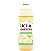 UCHA, Kombucha bio gingembre