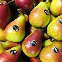 Votre primeur propose, Poire Qtee