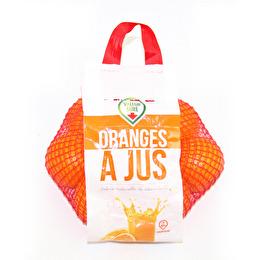 SÉLECTIONNÉ PAR NOS PROS Orange à jus filet 2kg