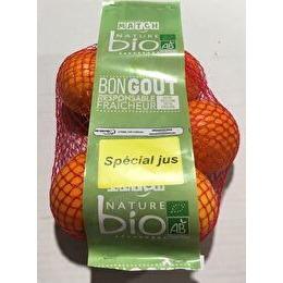 NATURE BIO Bio orange à jus filet 1kg